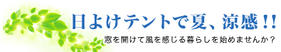 悯egŉāAIJĕ炵n߂܂񂩁H